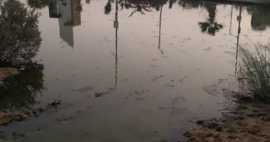 كلاكيت تانى مرة..سكان كمبوند أرابيانو بحدائق أكتوبر يشتكون من طفح مياه الصرف