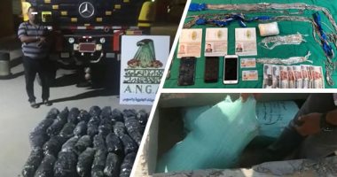 صور.. مكافحة المخدرات تزلزل "سوق الكيف".. إحباط تهريب صفقة آيس عبر مطار القاهرة الدولى.. وضبط مخزن بانجو بمنطقة جبلية شرق قناة السويس.. والشرطة تكشف غسل 3 تجار صنف لـ35 مليون جنيه من تجارتهم غير المشروعة