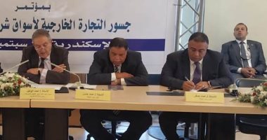 وزارة قطاع الأعمال: تنفيذ مشروع ضخم لمد جسور التجارة إلى أفريقيا 