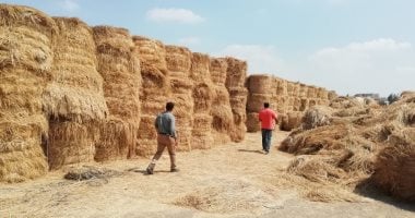 البيئة تضبط 603 منشأة صناعية مخالفة وتحرر 71 محضر حرق مخلفات زراعية