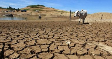 قمة المناخ: يجب وضع خطط وتمويل لتحسين الإنذار المبكر ومواجهة الفيضانات    