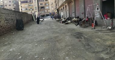 أهالى شارع الاعتماد بالجيزة يشكون من محل لتربية الأغنام داخل الكتلة السكنية