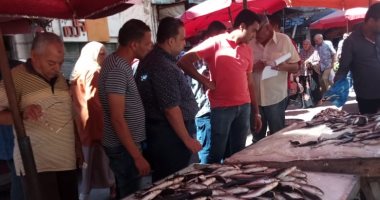 ضبط أسماك غير صالحة للاستهلاك وإيقاف 4 حالات بناء مخالف بالإسكندرية ..صور