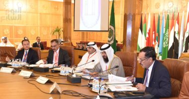 مستشار رئيس مجلس النواب يدعو لضرورة دعم وتطوير المؤسسات البرلمانية العربية
