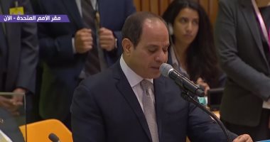 فيديو.. الرئيس السيسي: مصر حريصة على إعلام مبادئ المواطنة