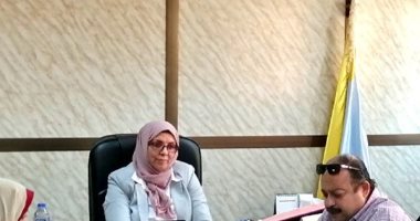 3 آلاف عامود إنارة جديدة بقرية الغربانيات ببرج العرب غرب الإسكندرية