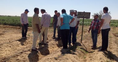استرداد 87 فدانا من أراضى أملاك الدولة بمركز يوسف الصديق فى الفيوم