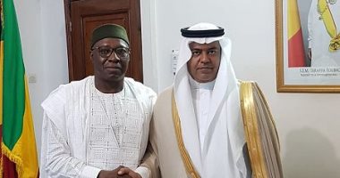   سفير السعودية لدى مالى يلتقى مسؤول الأمن الغذائى 