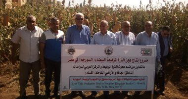 وفد من مركز البحوث الزراعية يتفقد مشروع تقييم أصناف الذرة فى شندويل بسوهاج
