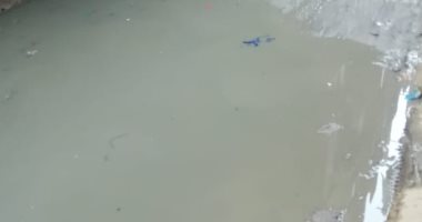أهالى قرية جريس بالمنوفية يطالبون بوصول الصرف الصحى للقرية 