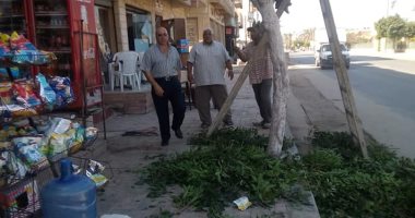 مجلس مدينة العريش يستكمل حملات تهذيب وتجميل الأشجار بالمدينة