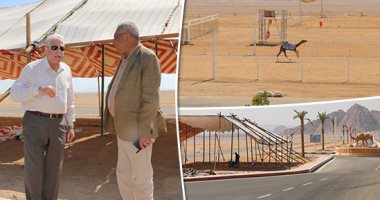 صور.. سباق هجن دولى لأول مرة بشرم الشيخ لمدة 3 أيام.. 600 مطية تتنافس على جوائز نقدية مقدمة من الاتحاد الإماراتى للهجن.. مشاركون من كل محافظات مصر.. و15 دولة عربية وأفريقية وأوروبية حاضرة بقوة