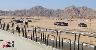 صور.. انطلاق فعاليات مهرجان شرم الشيخ الدولى لسباقات الهجن.. 600 جمل تتنافس على جوائز الاتحاد الإماراتى للهجن.. أول سباق من نوعه يقام على أرض مصرية بمواصفات عالمية 