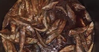 "صحة البحر الأحمر" تشن حملات على منافذ بيع الأسماك الطازجة والمملحة بسفاجا