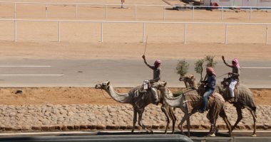تعرف على آخر استعدادات شرم الشيخ لاستضافة فعاليات سباقات الهجن.. صور