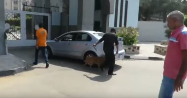الشرطة تلاحق مروجى المخدرات فى محيط الأندية ومراكز الشباب 