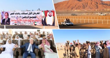 صور.. مهرجان سباق الهجن الدولى بشرم الشيخ يتواصل.. مسؤل السباقات باتحاد الهجن الإماراتى: مصر حاضنة لكل الرياضات ووجدنا كل ترحيب واحتفاء.. محافظ جنوب سيناء: وفدا السعودية والإمارات انبهرا بالتنظيم