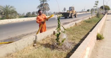 رفع 85 طن قمامة وإزالة تعديات على الأراضى الزراعية غرب بنى سويف