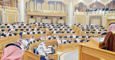 حظر استغلال الأطفال على السوشيال ميديا.. أبرز تعديلات"حماية الطفل"بالسعودية