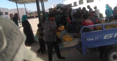 تشغيل سوق بلاط الحضارى بالوادى الجديد وطرح السلع الغذائية بأسعار مخفضة 