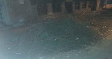 قارئ يطالب برفع مخلفات تقليم الأشجار بشارع نوال فى حى العجوزة