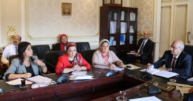 "تعليم البرلمان": تعديل قانون جامعة زويل يتفق مع سياسات واستراتيجيات الدولة