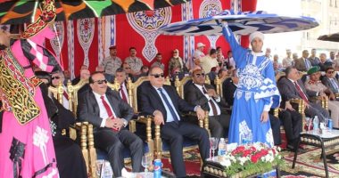 شاهد.. عروض فنية ورياضية فى احتفالات محافظة الغربية بعيدها القومى