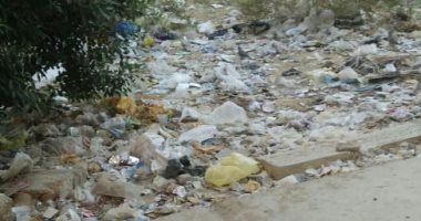 أهالى التجمع الأول يشكون انتشار القمامة بالشوارع
