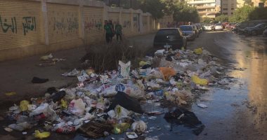 شكوى من انتشار القمامة بطول سور مدرسة ابن النفيس بمدينة نصر