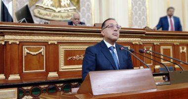 رئيس الوزراء يشارك اليوم فى الجلسة العامة للبرلمان 