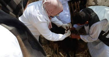 وفد الهيئة العامة للخدمات البيطرية يتفقد حملة طاعون المجترات الصغيرة بأسوان
