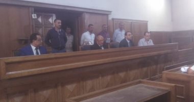 "جنايات المنصورة" تستكمل محاكمة جدة الطفلة "جنة" غدًا