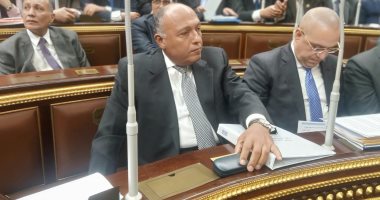 وزير الخارجية: الرئيس وجه باتخاذ ما يلزم من تدابير سياسية لحماية حقوقنا المائية 
