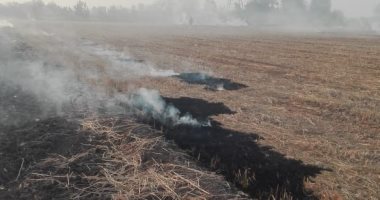 اضبط مخالفة.. حرق قش الأرز نهارا على طريق المحلة زفتى بالغربية.. صور