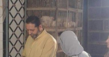 حملات تفتيش بيئى فى حى الجمرك بالإسكندرية على محال بيع الدواجن