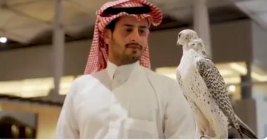 موسم الرياض يفتتح قسما خاصا لعرض "الصقور السعودية"