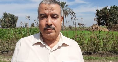 مدير عام الإرشاد الزراعى بالشرقية: تحرير 100 محضر حرق قش الأرز