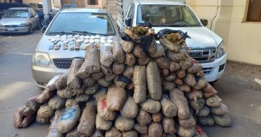 حبس تشكيل عصابى لحيازته 500 كيلو بانجو و5 حشيش بالدقهلية