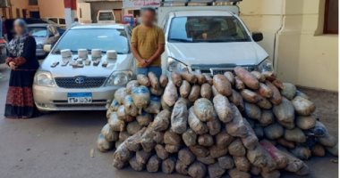ضبط 3 متهمين بحوزتهم نصف طن بانجو و5 كيلو حشيش 