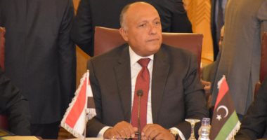 صور.. سامح شكرى: مصر فى طليعة دعم كل جهد عربى لمواجهة العدوان التركى على سوريا