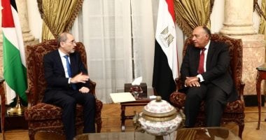 شكرى يبحث مع نظيره الأردنى تطورات العدوان التركى على سوريا