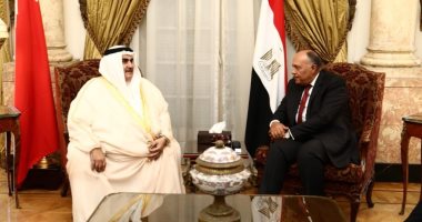 شكرى يبحث مع نظيره البحرينى التطورات الخاصة بالعدوان التركى على سوريا