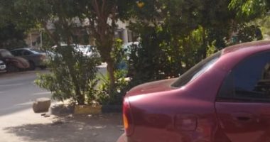 أهالى النزهة يطالبون بإنارة حديقة محمود هريدى