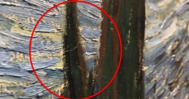 موقع أجنبى يسخر من خصلة شعر بيضاء على لوحة فان جوج فى متحف بـ نيويورك
