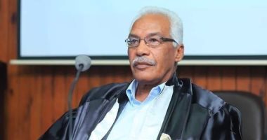 وفاة أستاذ ترميم الآثار المصرية الدكتور محمد عبد الهادى