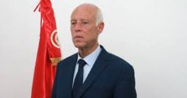 الرئيس التونسى ووزير الخارجية الإماراتى يبحثان سبل حل الأزمة الليبية