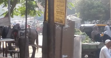 أهالى شارع الدكتور بزهراء العمرانية يشكون انتشار الباعة الجائلين وإغلاقهم الطريق