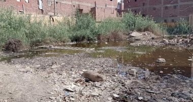 شكوى من غرق أرضية ملعب مركز شباب مست شماس بالصرف الصحى بمحافظة الجيزة
