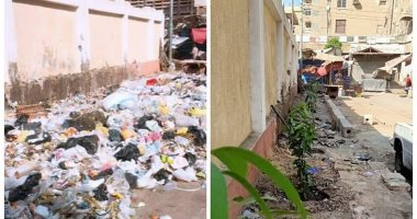 شاهد.. مبادرة "جو جرين" لتنظيف وتجميل محيط المدارس بالقليوبية