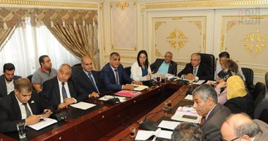 أمين خطة البرلمان: هناك مراكز شباب تحتاج 10 آلاف جنيه لتطويرها ومش لاقية